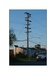 Power lines, Manassas