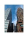 Pearl Street, New York