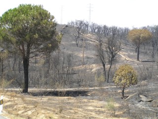 Po lesním požáru u La Jonquera