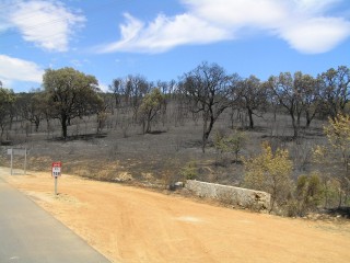 Po lesním požáru u La Jonquera