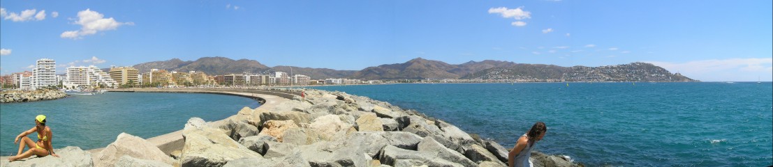 Panorama Roses